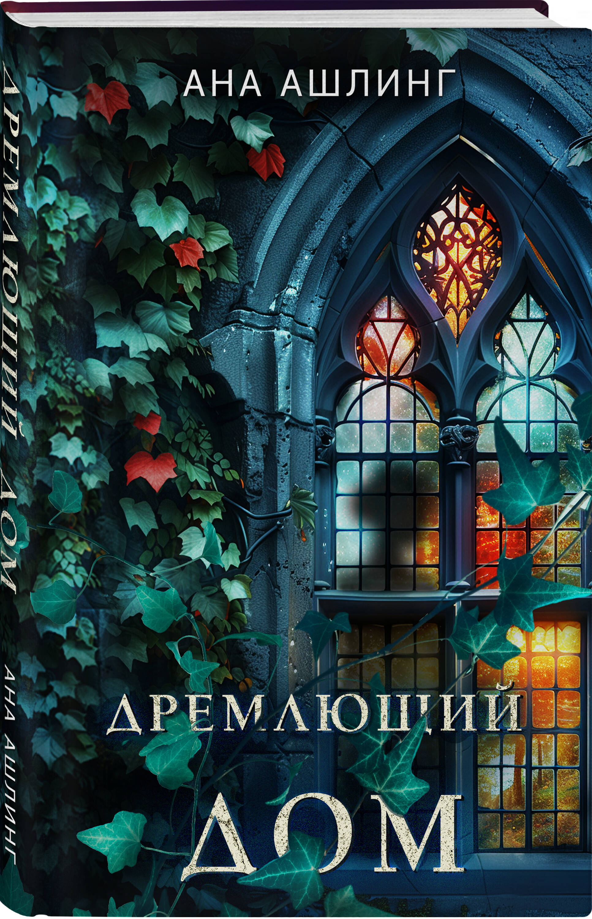 

Дремлющий дом