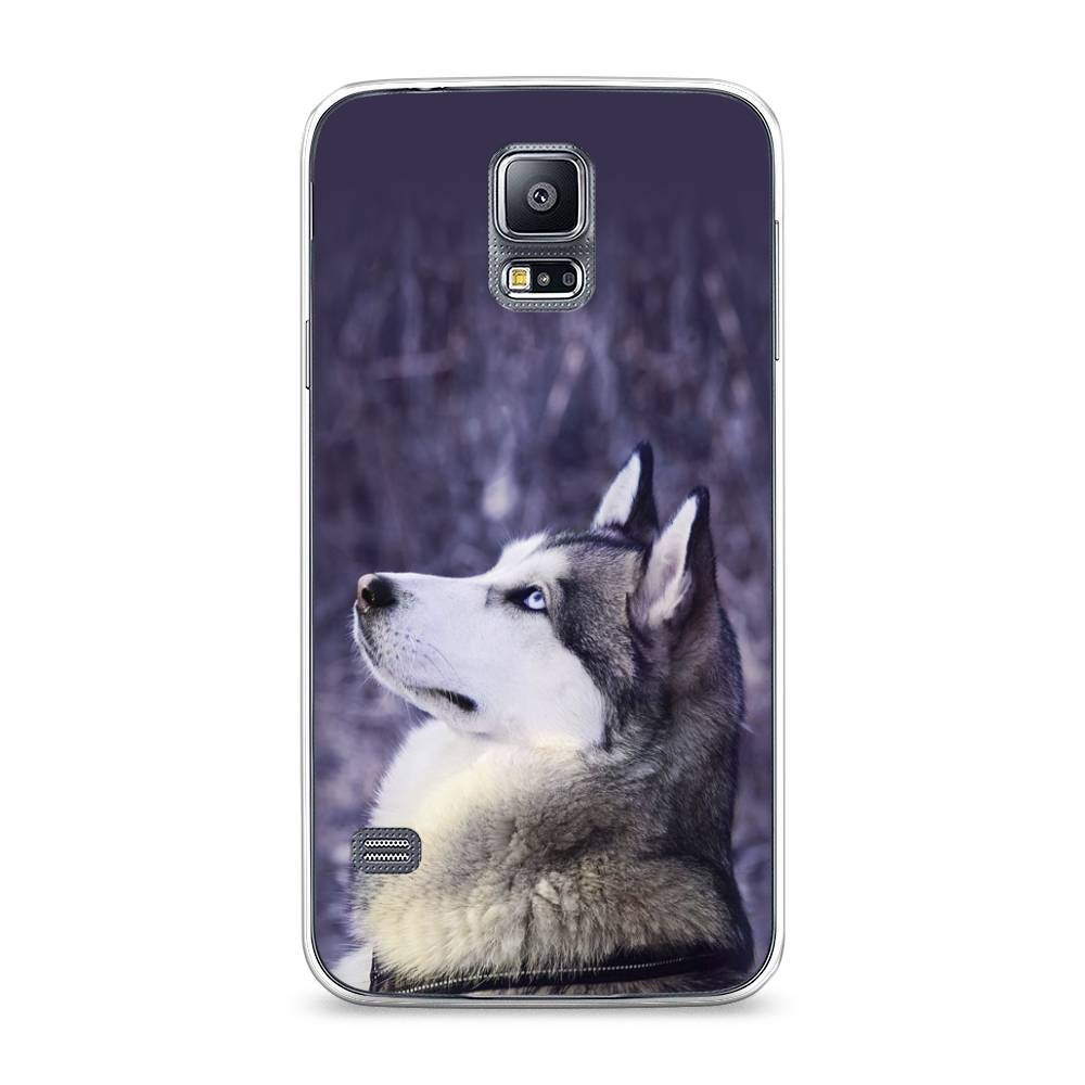 

Чехол на Samsung Galaxy S5 "Хаски 1", Фиолетовый;белый, 24150-1