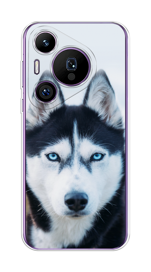 

Чехол на Huawei Pura 70 Pro/70 Pro Plus "Хаски 2", Синий;белый, 6124450-1