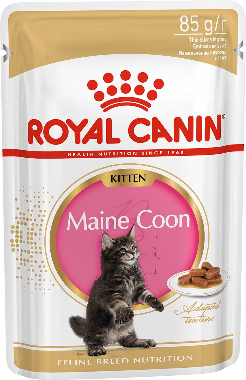 фото Влажный корм для котят royal canin kitten maine coon, мейн-кун, мясо в соусе, 12шт по 85г