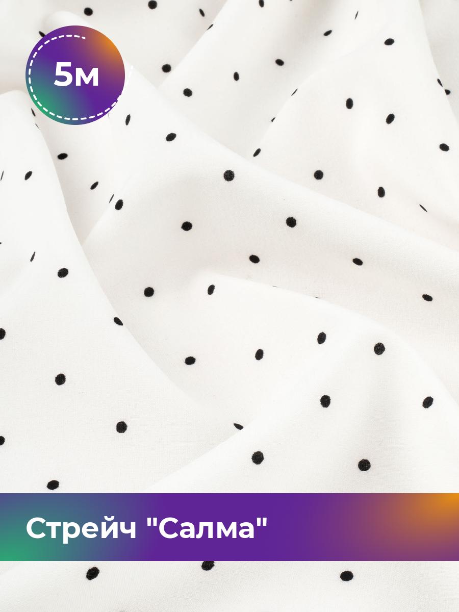 

Ткань Стрейч Салма Shilla, отрез 5 м * 150 см, черно-белый 084, Разноцветный, 17987669