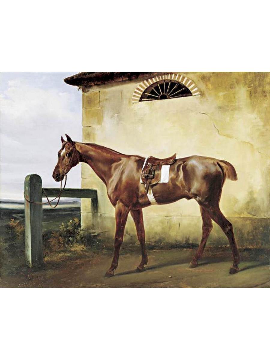 

Постер DRABS A3 Верне Эмиль Жан Орас A Saddled Race Horse Tied to a Fence