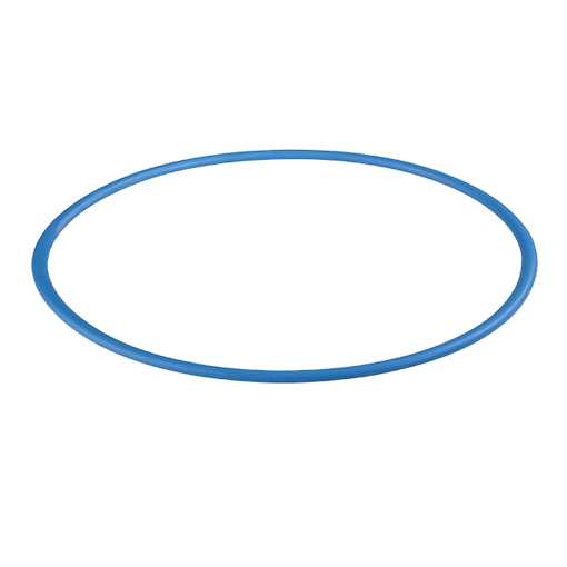 Кольцо уплотнительное для колб АкваПро 10ВВ синяя
