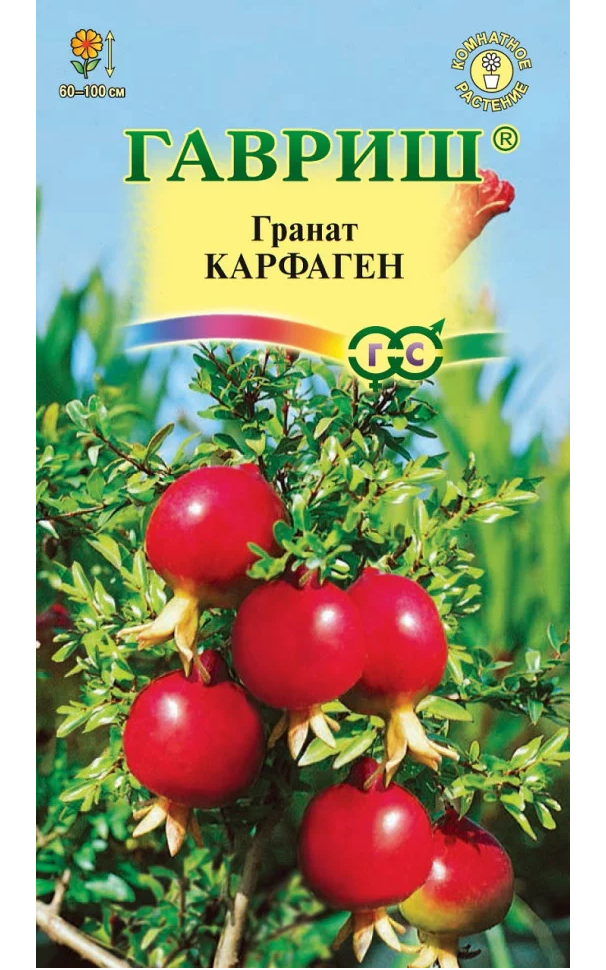 

Саженцы гранат Гавриш Карфаген 74637 1 шт.