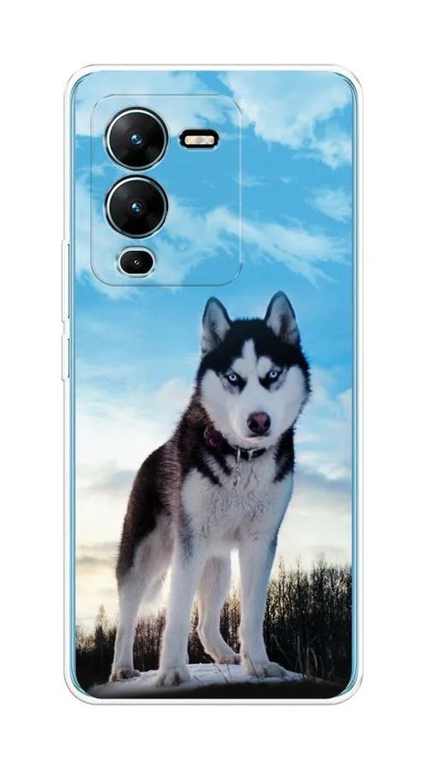 

Чехол Awog на Vivo V25 Pro 5G "Хаски 3", Разноцветный, 267450-2