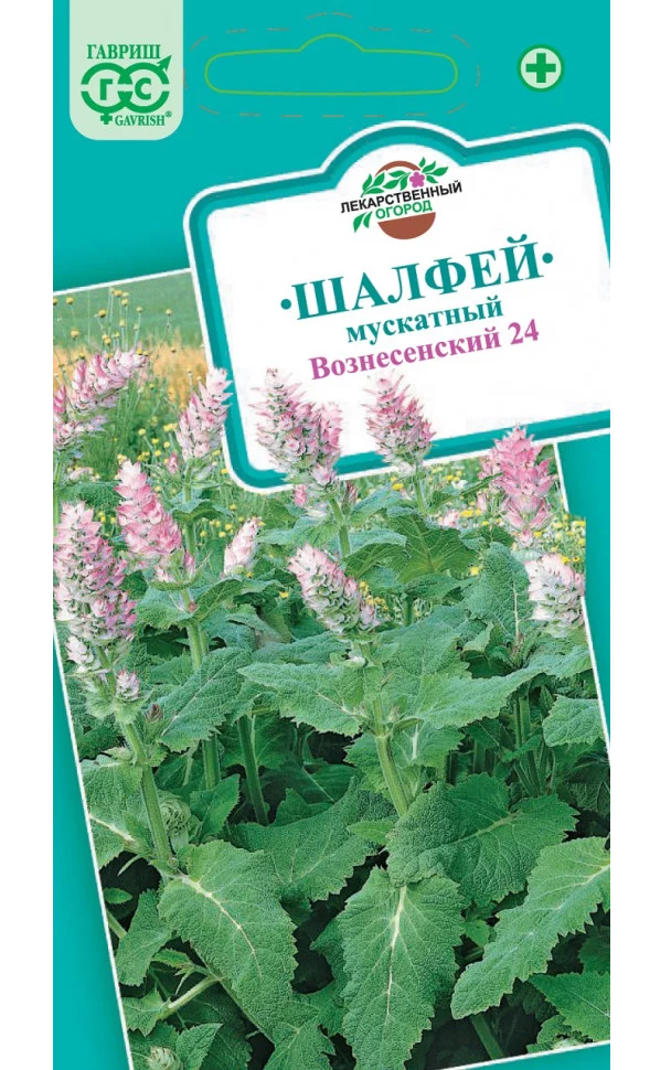 

Семена Гавриш Вознесенский 24 шалфей мускатный, 0,3 г