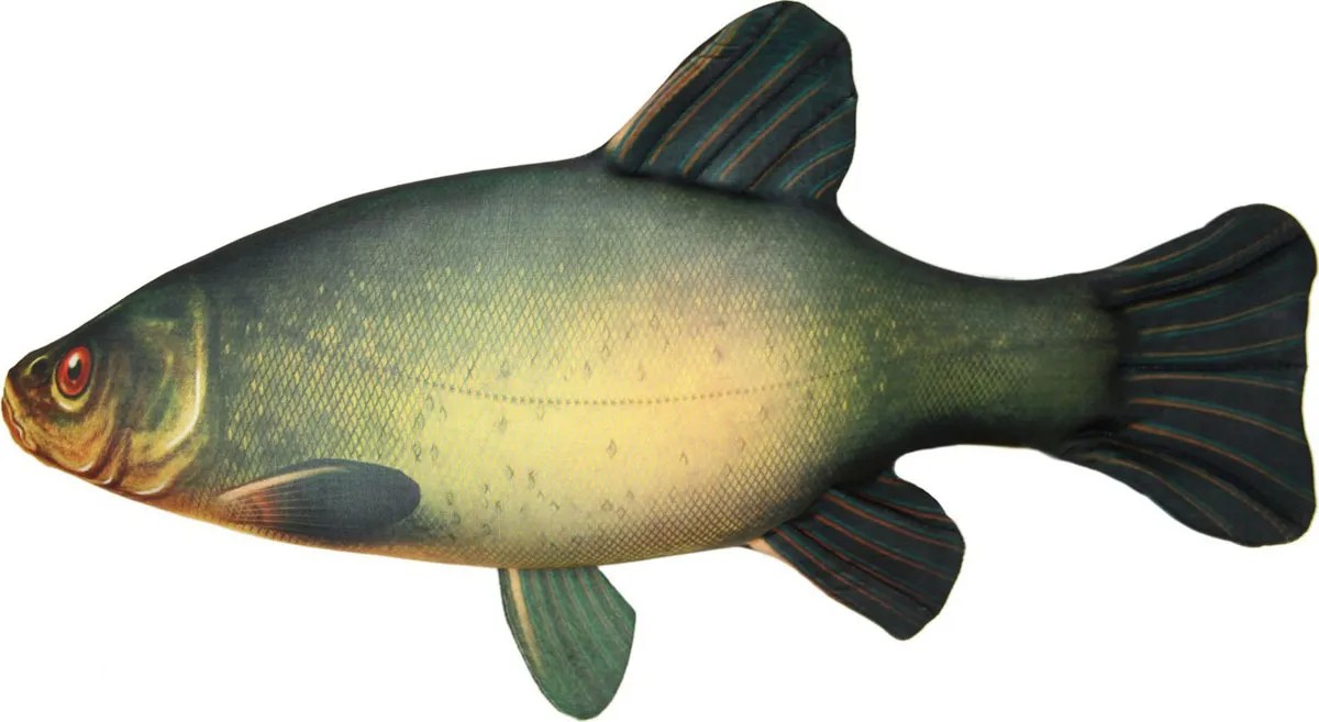 фото Игрушка-антистресс спи рыба линь большая 60*30 см (15аси50ив)
