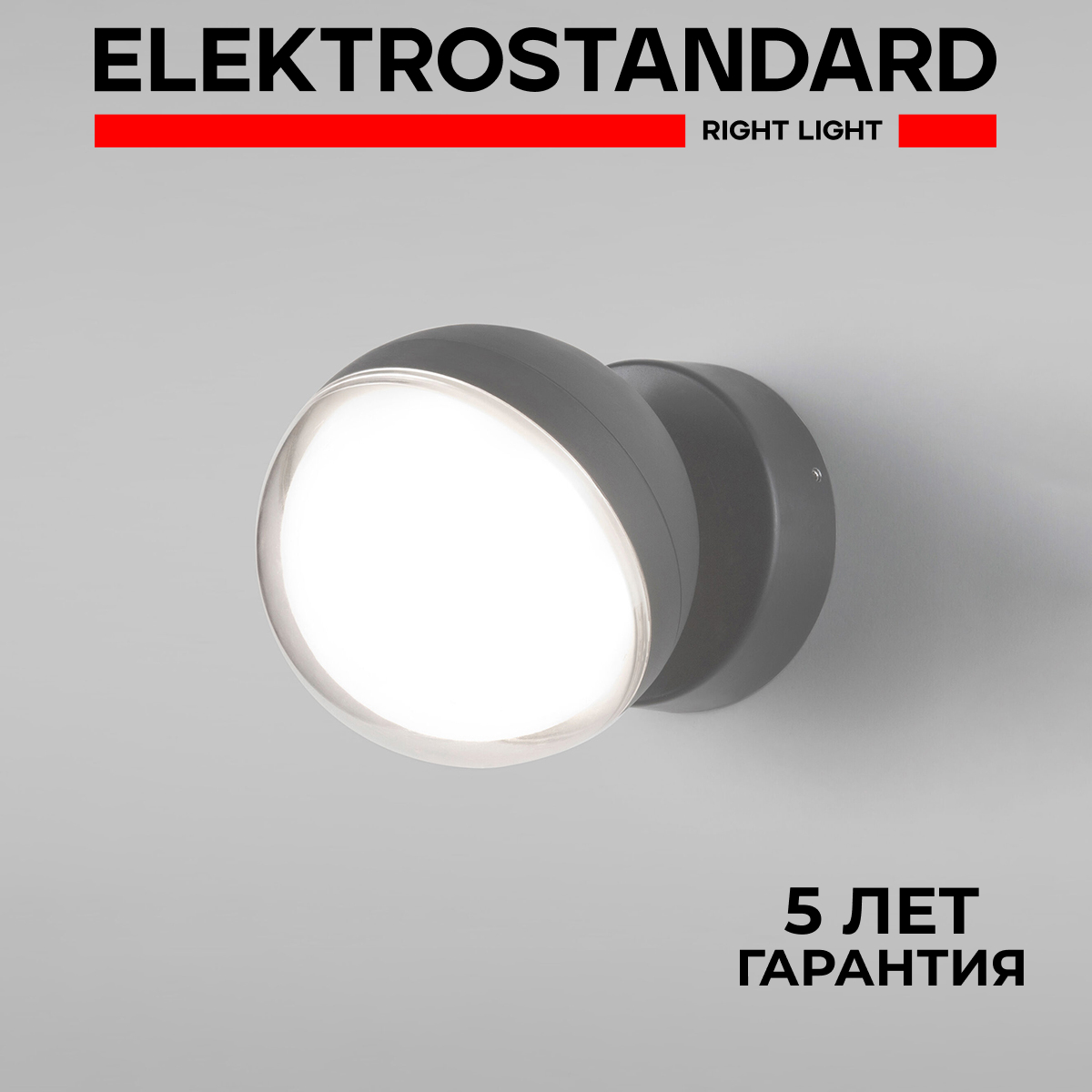 Уличный настенный светильник Elektrostandard Globo 35132/U серый 12 Вт