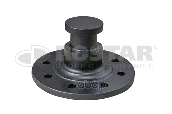 

ROSTAR Шкворень полуприцепа KZ1012-01 болт 03436 без потайной головки ROSTAR