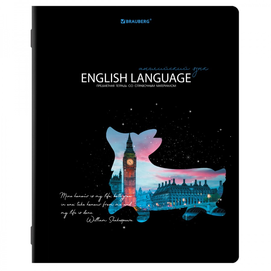 Тетрадь предметная Brauberg Сияние Знаний Английский язык А5 48л 10 шт