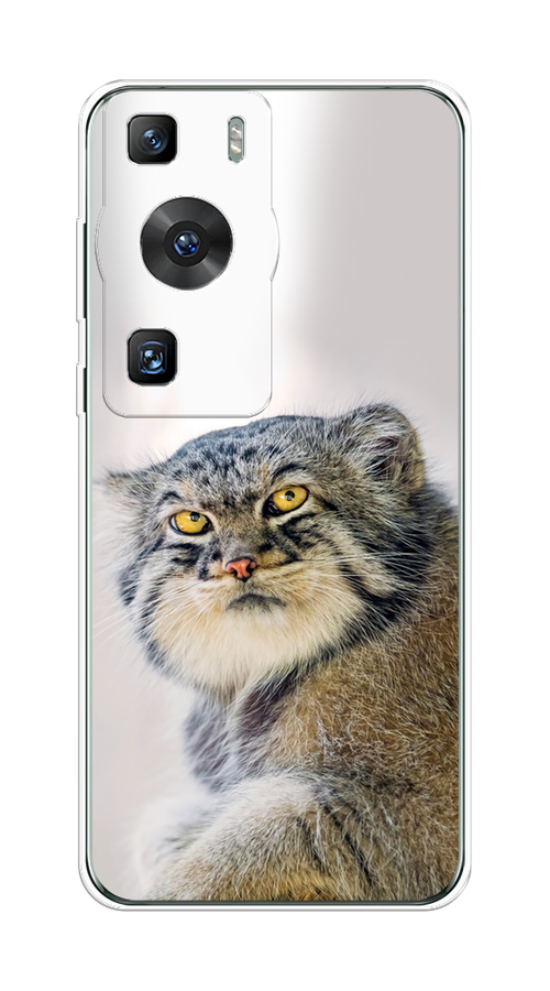 

Чехол на Huawei P60/P60 Pro "Кот манул 1", Серый;белый;желтый, 6121150-1
