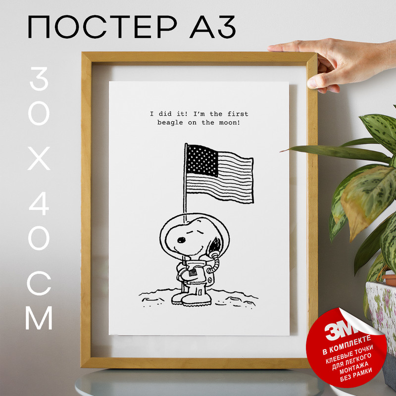 

Постер Snoopy - I did it! I А3 DSP182065 30х40, рамка А3, DSP182065