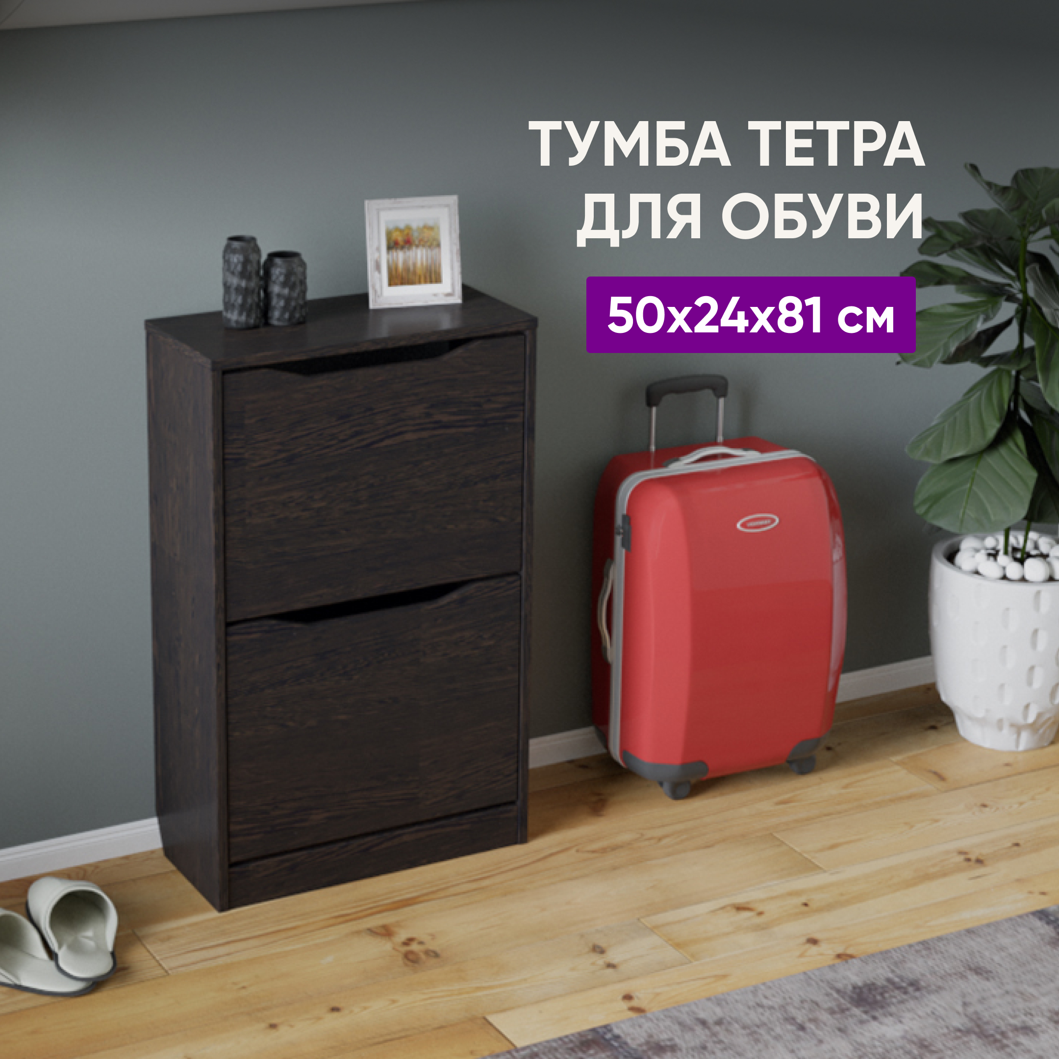 Тумба ВоБаза для обуви Тетра Тип 2 (Венге Цаво) 50х24х81