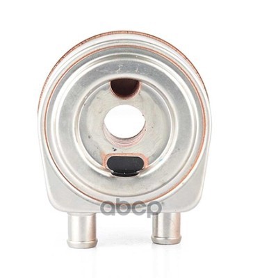 

Теплообменник Маслянного Фильтра BSG AUTO PARTS арт. BSG65506004