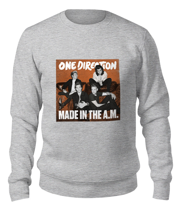 

Свитшот унисекс Printio One direction серый M, One direction