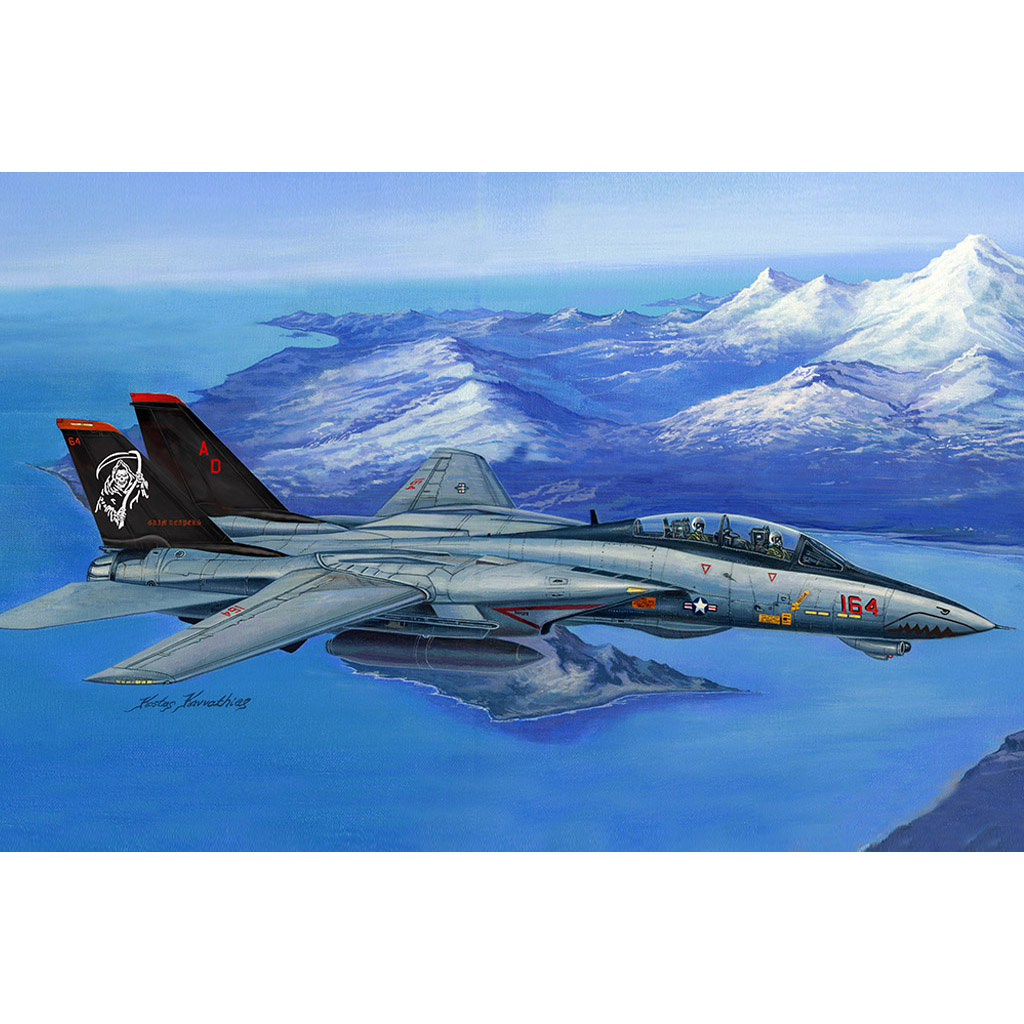 

Сборная модель HobbyBoss Истребитель F-14D Super Tomcat 80368