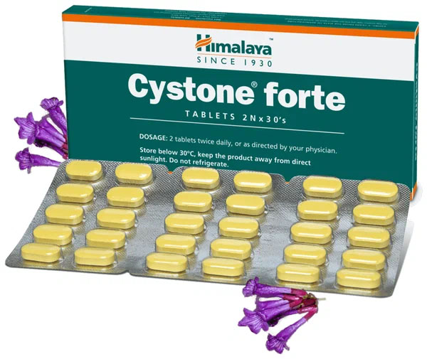 Пищевая добавка Himalaya Cystone Forte, 60 таблеток