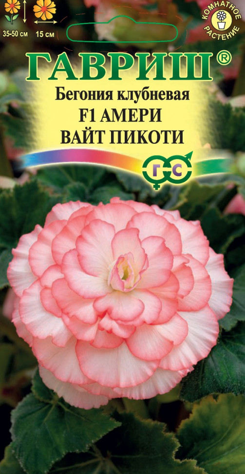 

Семена бегония Амери вайт пикоти F1 Гавриш 1071854719-10 1 уп.