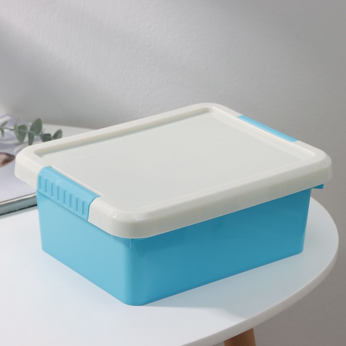 

Контейнер для хранения с крышкой Kid's Box, 3 л, 25×20×10 см, цвет МИКС, FunBox "Kid's Box"