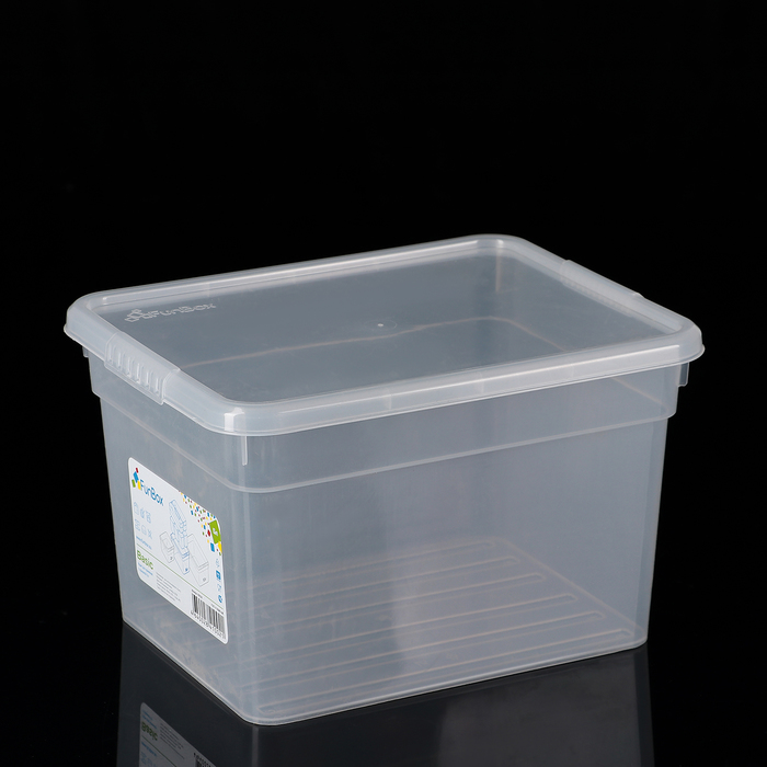 

Контейнер для хранения с крышкой Basic, 5 л, 25×20×15,5 см, цвет прозрачный, FunBox "Basic"