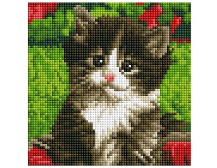 

Алмазная мозаика Рыжий кот Милый котёнок