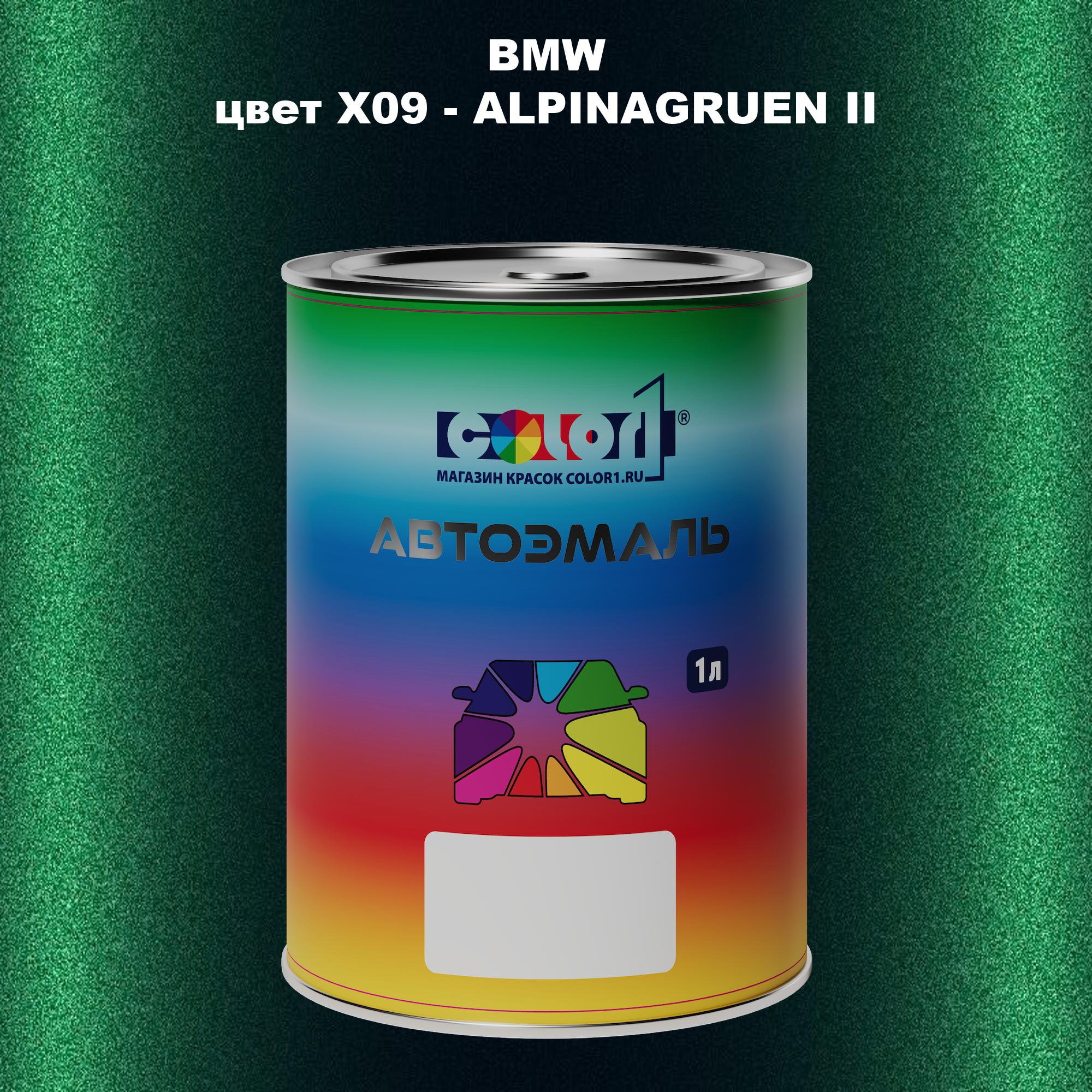 

Автомобильная краска COLOR1 для BMW, цвет X09 - ALPINAGRUEN II, Прозрачный