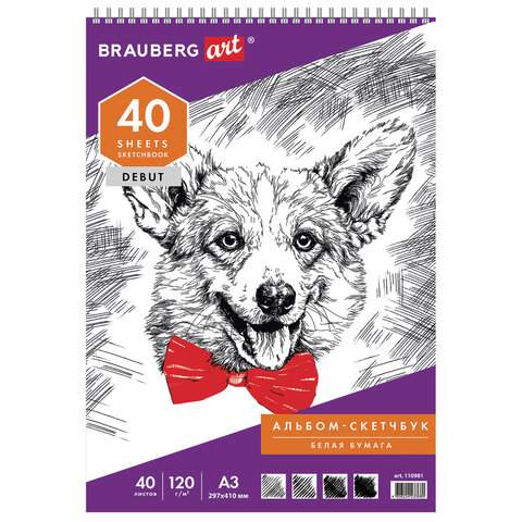 

Скетчбук, белая бумага Brauberg 110981, 40 листов, 120 г/м2, 2 штуки