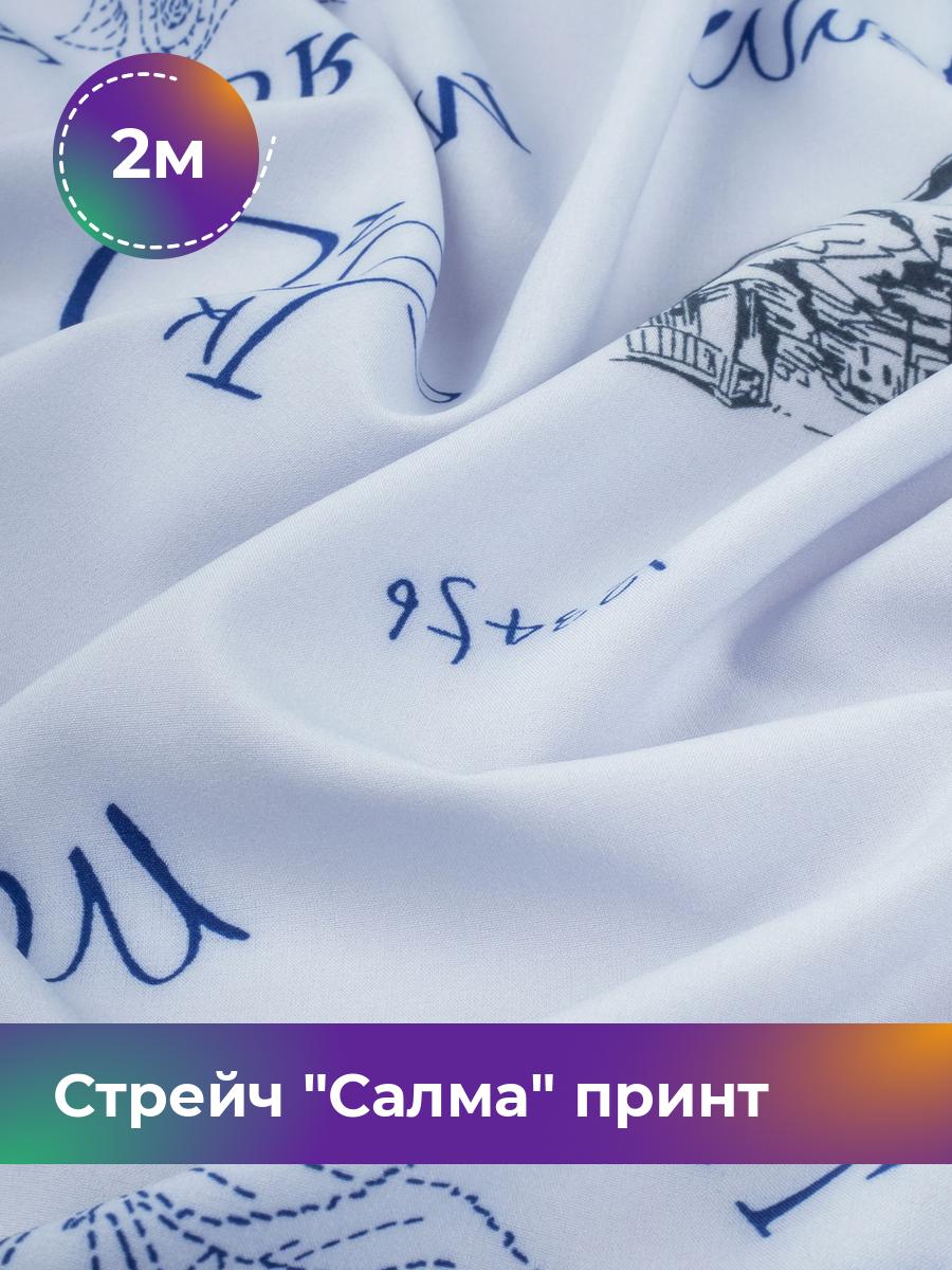 

Ткань Стрейч Салма принт Shilla, отрез 2 м * 150 см, мультиколор 019, Голубой, 17972366