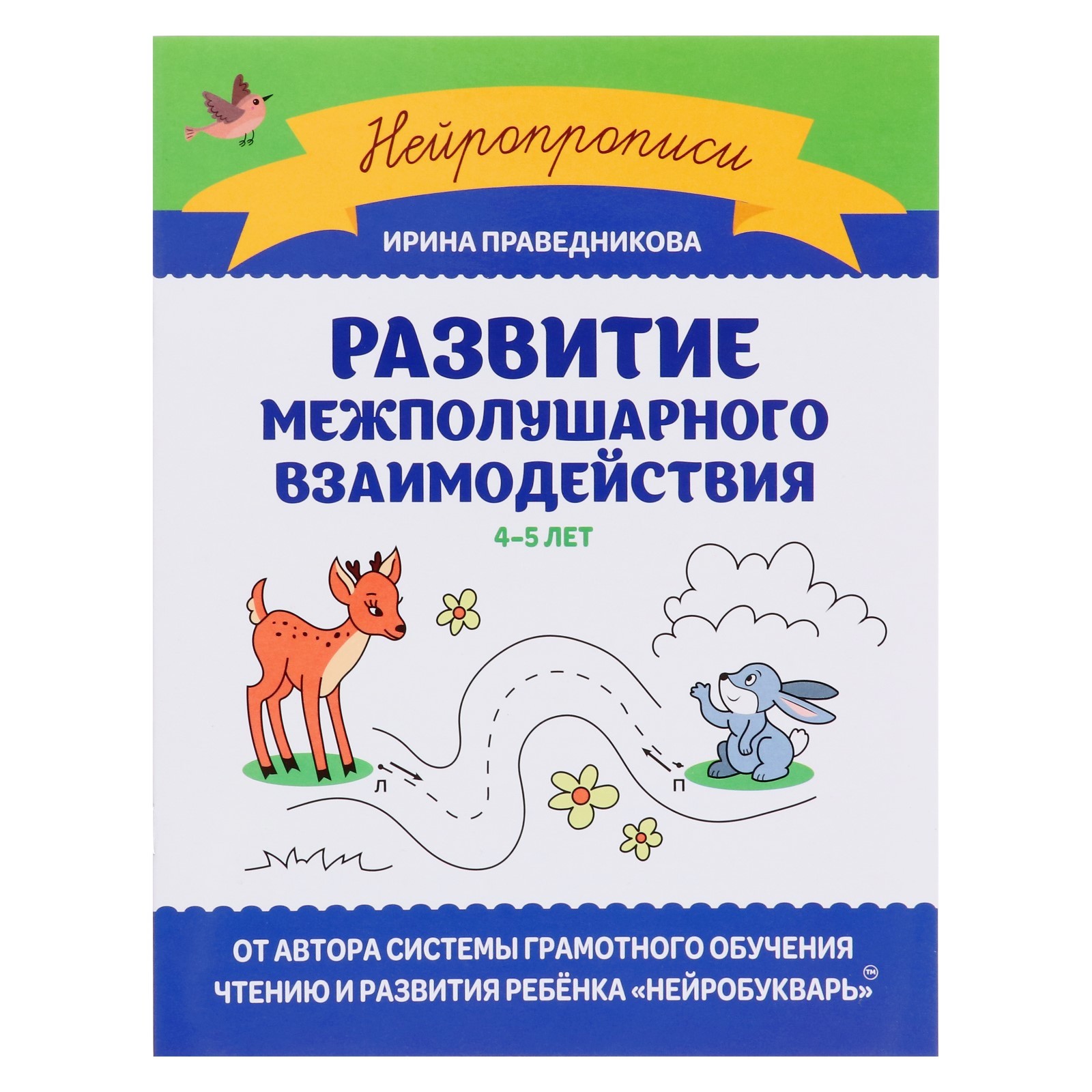 

Развитие межполушарного взаимодействия: 4-5 лет