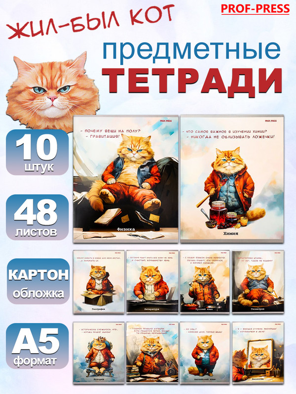 

Предметные тетради Жил был кот 10 шт