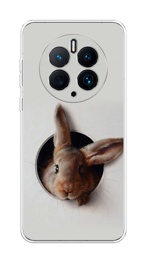 

Чехол на Huawei Mate 50 Pro "Любопытный кролик", Серый;коричневый, 6109950-1