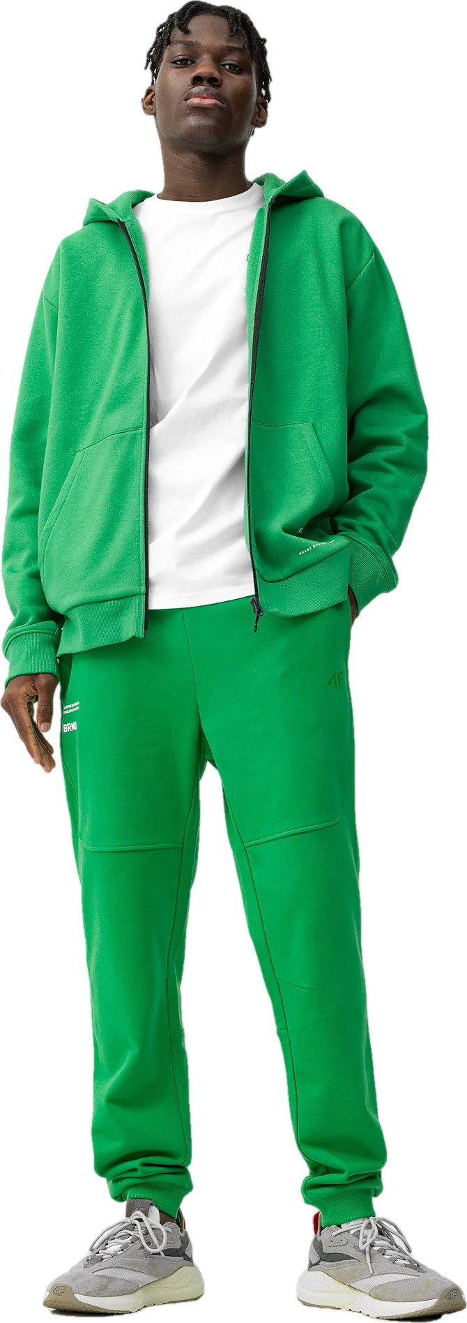 Спортивные брюки мужские 4F 4FSS23TTROM143 зеленые L