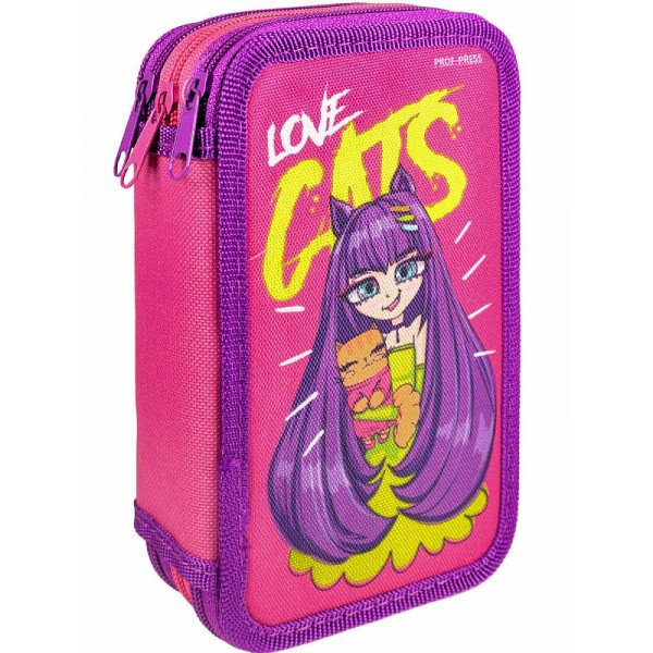 

Пенал-книжка Проф-Пресс ПН-3011, 3 отделения, прямоугольный, РА-00074784