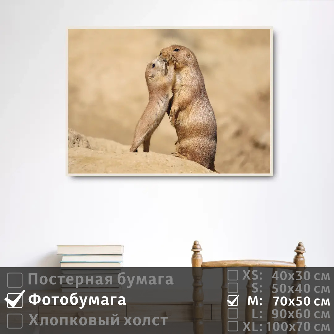 

Постер на фотобумаге ПолиЦентр Ребенок суриката целует свою маму 70х50 см, РебенокСурикатаЦелуетСвоюМаму