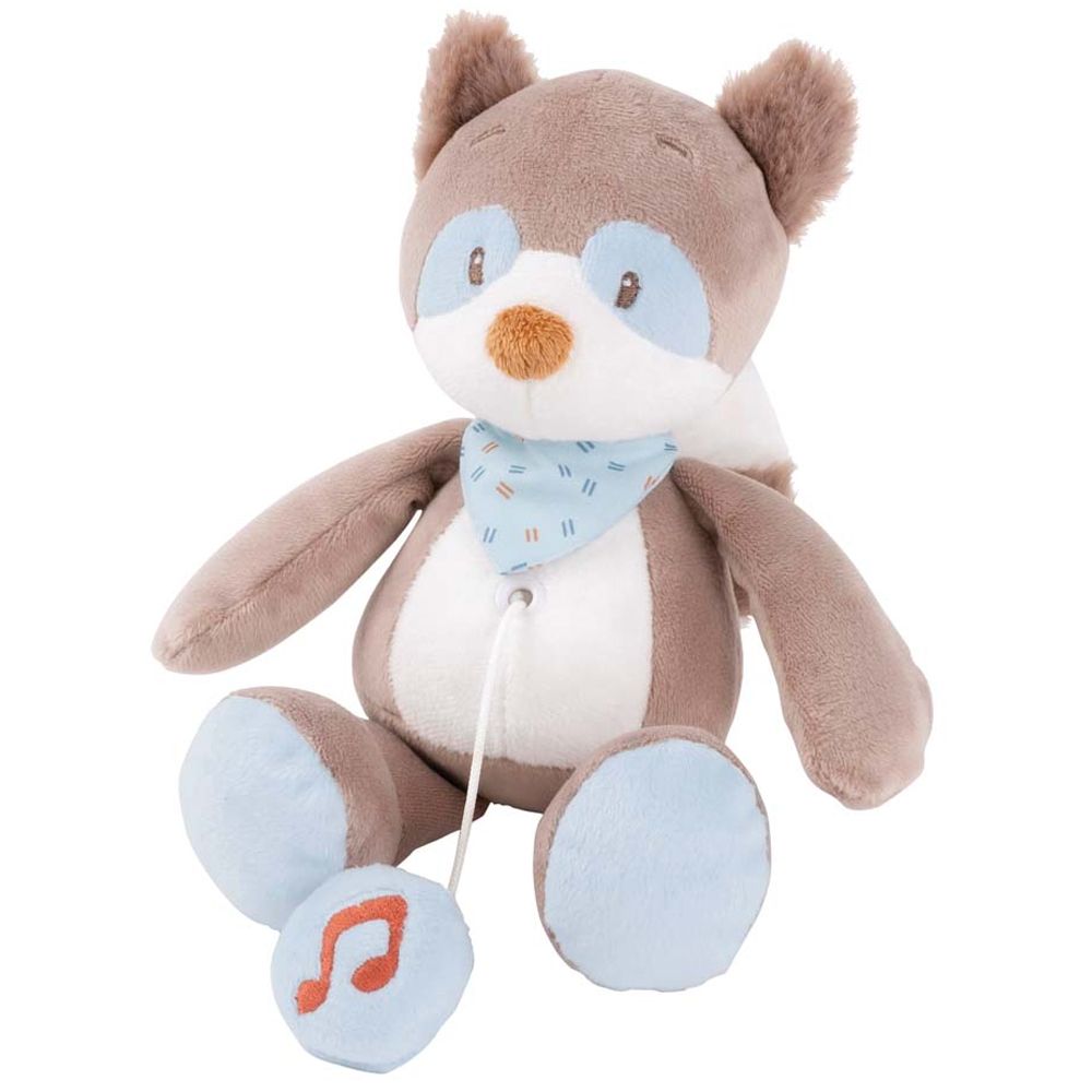 фото Игрушка мягкая nattou musical soft toy mini jim & bob енот музыкальная 333085