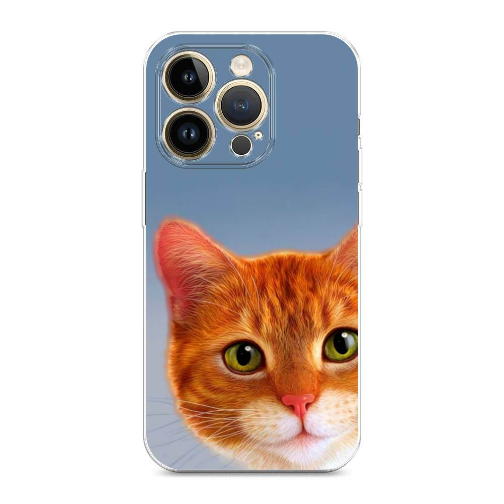 

Чехол на Apple iPhone 14 Pro Max "Любопытный котик", Коричневый, 15050-1