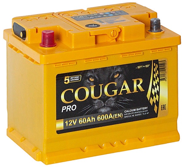 Аккумулятор Cougar PRO 60 А/ч 600 А пр.пол. Росс. авто (242x175x190)