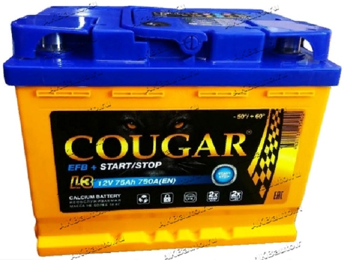 Аккумулятор Cougar EFB 75 А/ч 750 А пр.пол. Росс. авто (278х175х190)