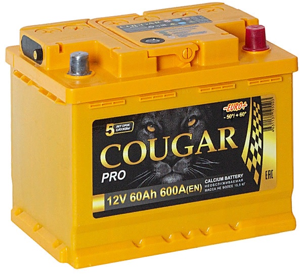 Аккумулятор Cougar PRO 60 А/ч 600 А обр. пол. Евро авто (242x175x190)