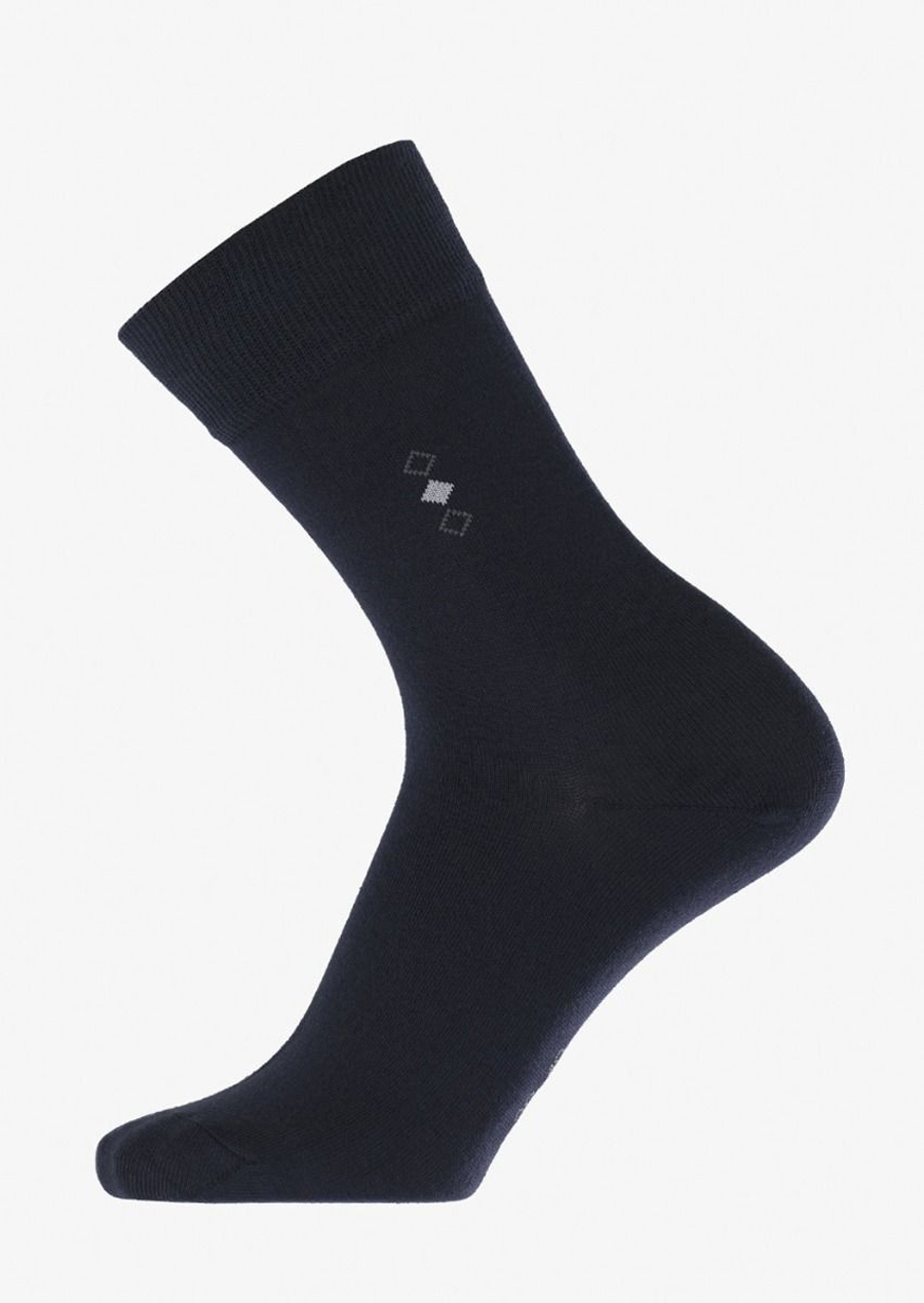 Комплект носков мужских Pantelemone PN синих 25, 10 пар