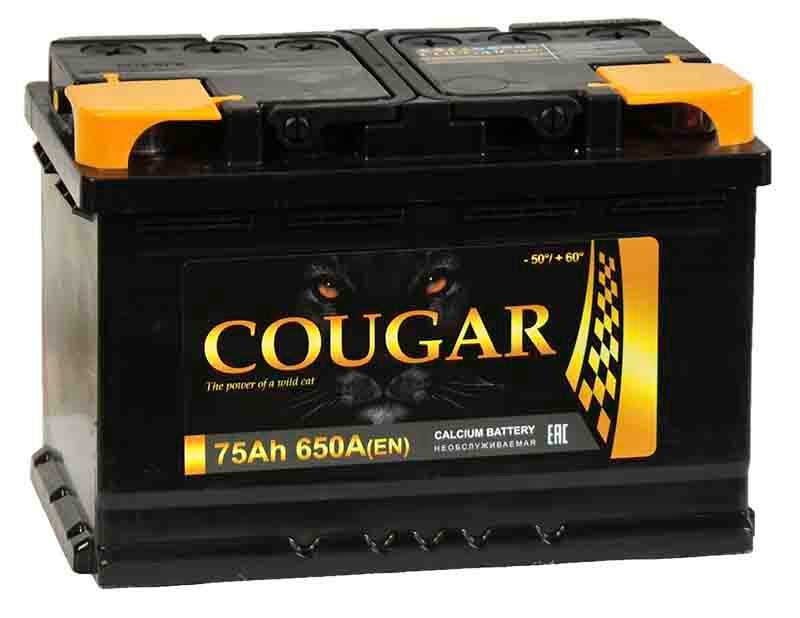 Аккумулятор Cougar Power 75 А/ч 650 A пр.пол. Росс. авто (278x175x190)