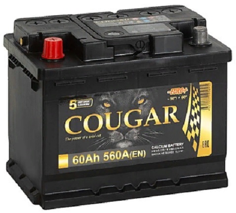 Аккумулятор Cougar Power 60 А/ч 560 А пр.пол. Росс. авто (242x175x190)