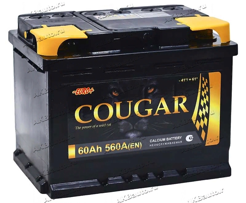 Аккумулятор Cougar Power 60 А/ч 560 A обр. пол. Евро авто (242x175x190)