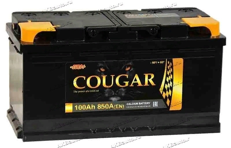 Аккумулятор Cougar Power 100 А/ч 850 А пр.пол. Росс. авто (353x175x190)