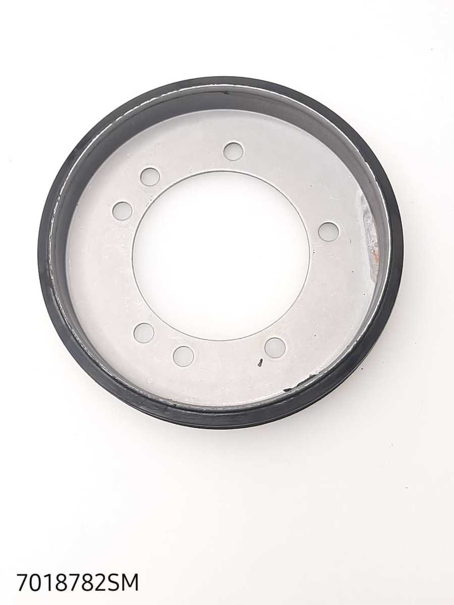 

Диск фрикционный Briggs&Stratton Snapper 7018782SM