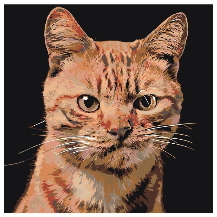 

Картина по номерам, 40 x 40, A207, A207