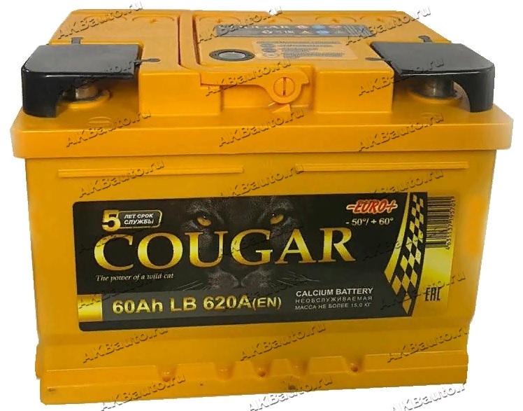 Аккумулятор Cougar PRO 60 А/ч 620 А обр. пол. низкий Евро авто (242x175x175)