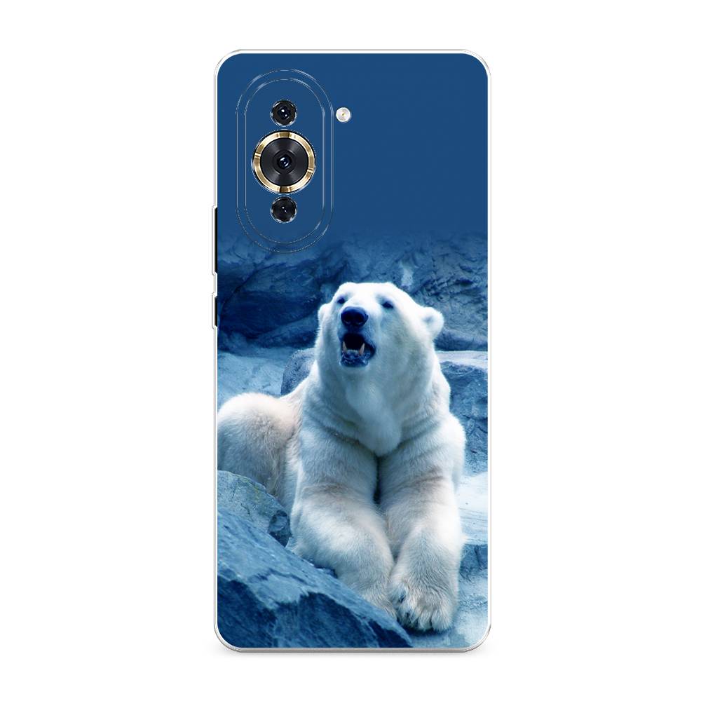 

Чехол для Huawei Nova 10 Pro "Белый медведь", Голубой;белый, 6109050-1