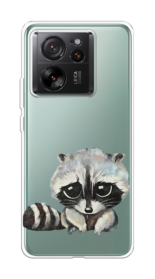 

Чехол на Xiaomi 13T Pro "Большеглазый енот", Серый;черный;прозрачный, 319950-1