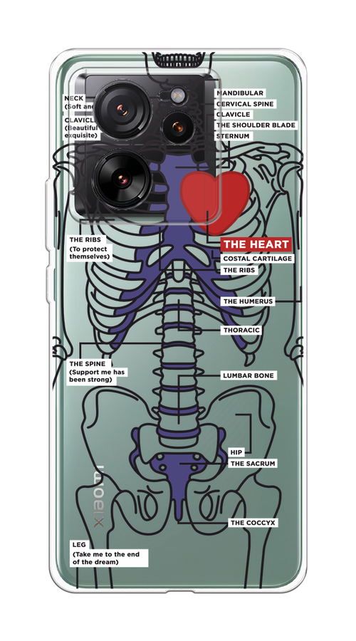 

Чехол на Xiaomi 13T Pro "Скелет человека", Прозрачный;синий;красный, 319950-1